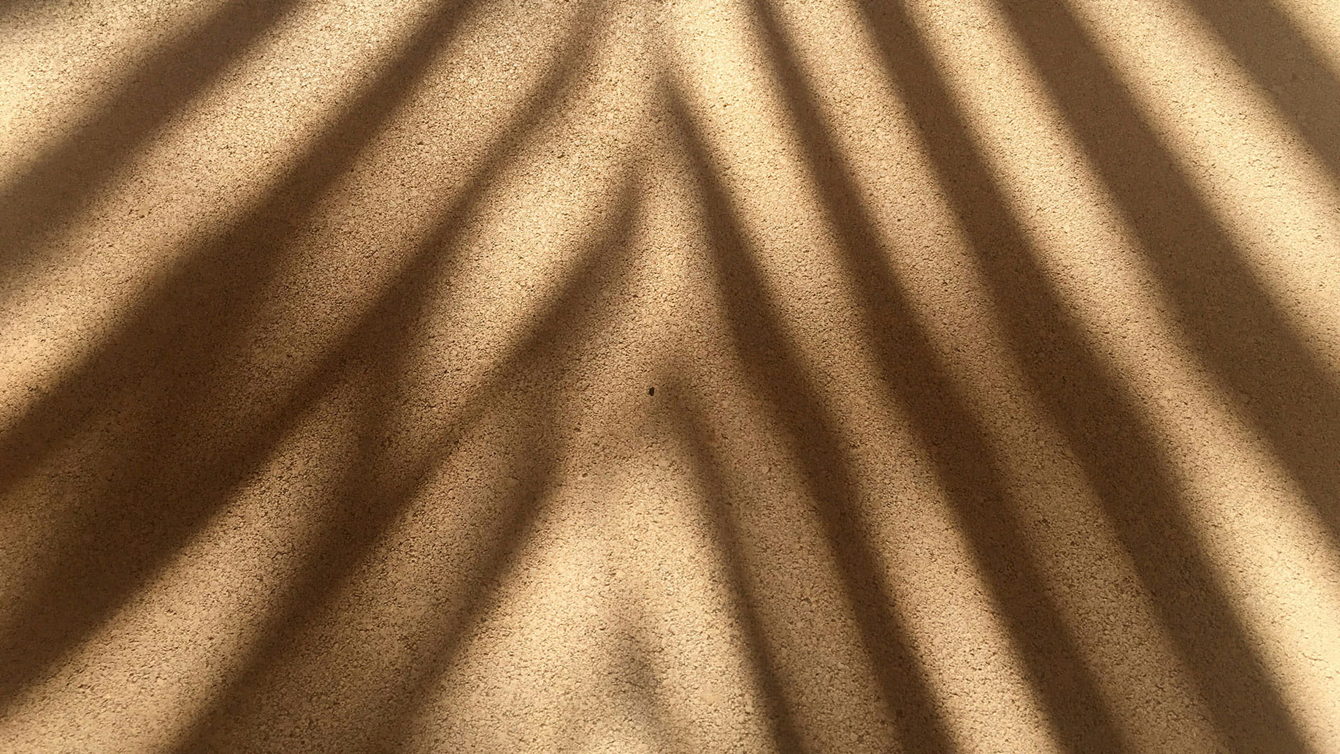 Schatten eines Palmenblatts auf Sand als Symbol für Ruhe, Balance und innere Wahrnehmung